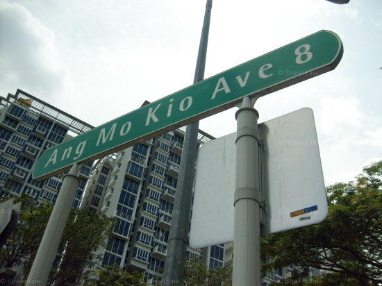 Ang Mo Kio Avenue 8 #101182